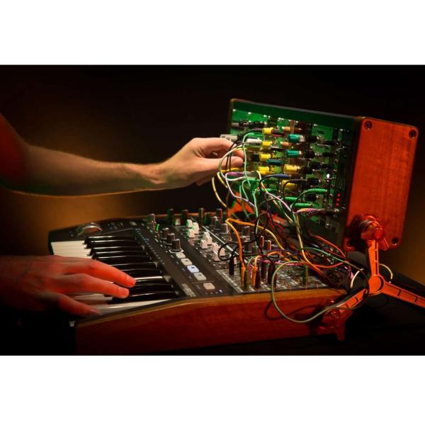 Arturia MiniBrute 2 Synthesizer | IDJNOW