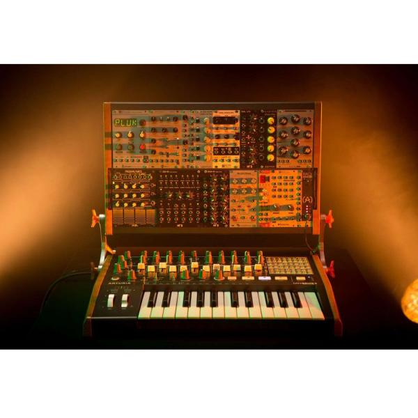 Arturia MiniBrute 2 Synthesizer | IDJNOW