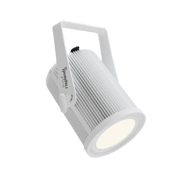 Blizzard Lighting Motif Risplendi 250 (White) LED Pendant Light