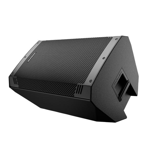 Mackie Thrash15v2 15
