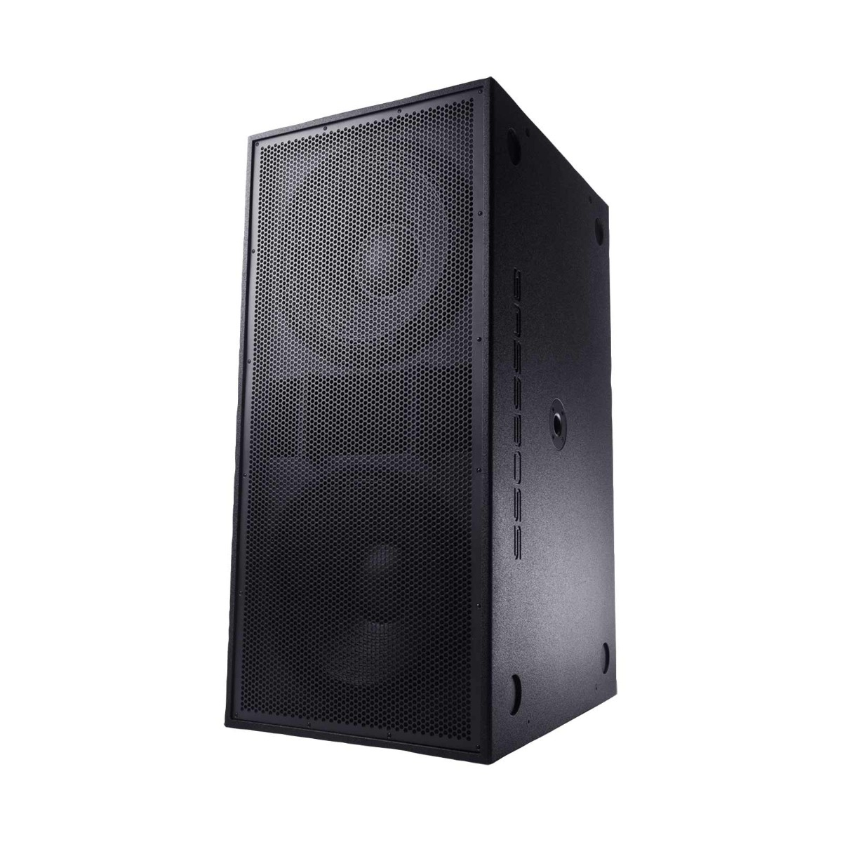 E.W.S. BASS LBD 非売品 PRO-ZXI 10