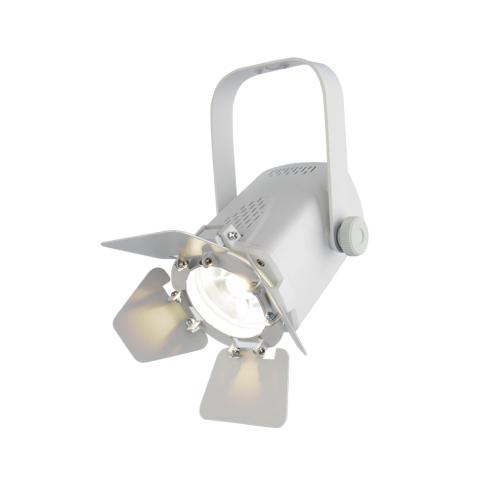 Chauvet DJ EVE TF-20X Soft Edge Accent Fresnel Luminaire (White)
