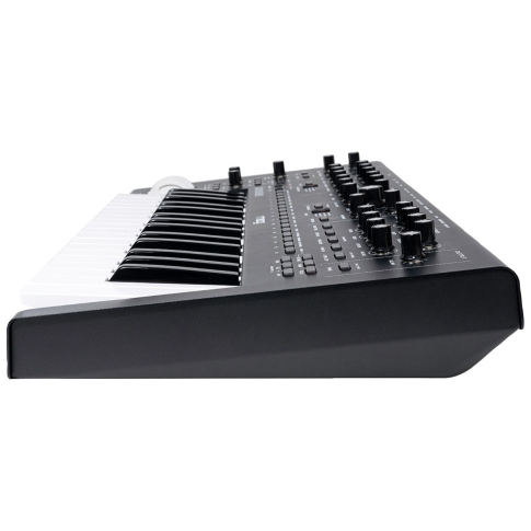 Moog MESSENGER Monophonic Analog Keyboard Synthesizer Left Side