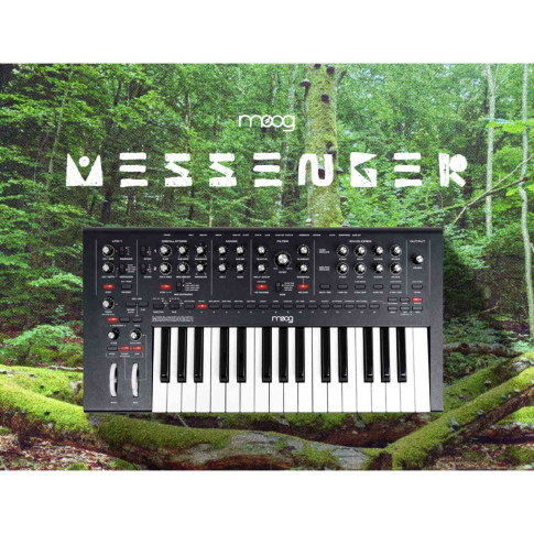Moog MESSENGER Monophonic Analog Keyboard Synthesizer Lifestyle
