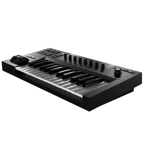 DTM・DAW Native Instruments KOMPLETE KONTROL A25 Native Instruments Komplete Kontrol A25 Smart Keyboard