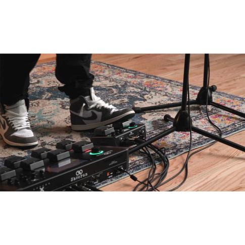 SHEERAN Looper+ Dual-Track Looper Pedal with Case | IDJNOW