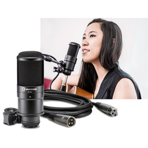 Steinberg UR22MKII Recording Pack with Dual-Channel Audio Interface - Store Demo