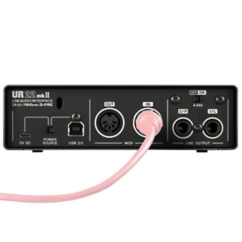 Steinberg UR22MKII Recording Pack with Dual-Channel Audio Interface - Store Demo