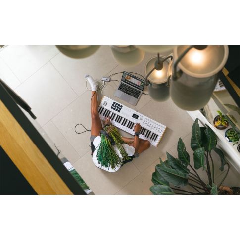 Arturia KeyLab 61 mk3 61-Key MIDI Keyboard Controller in White Top 2