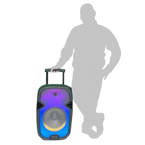 Gemini PartyBox Rave15 15" Powered Speaker with LED Action and Cover Person 1
