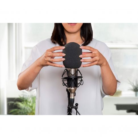 Steinberg UR22C Complete Recording Pack with Microphone & Headphones Mic Foam